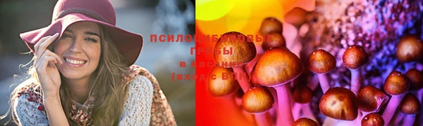 a pvp Рославль