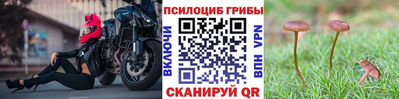 shop какой сайт  Дзержинский  Галлюциногенные грибы Psilocybine cubensis 